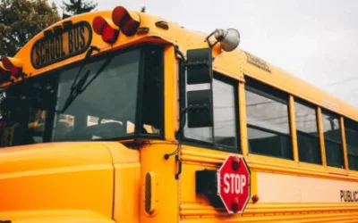 Who Is Potentially to Blame for a School Bus Accident?